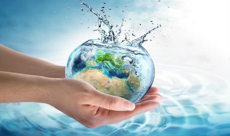 Do Firms with Close Ties to Governments Have Better Environmental Management Practices?